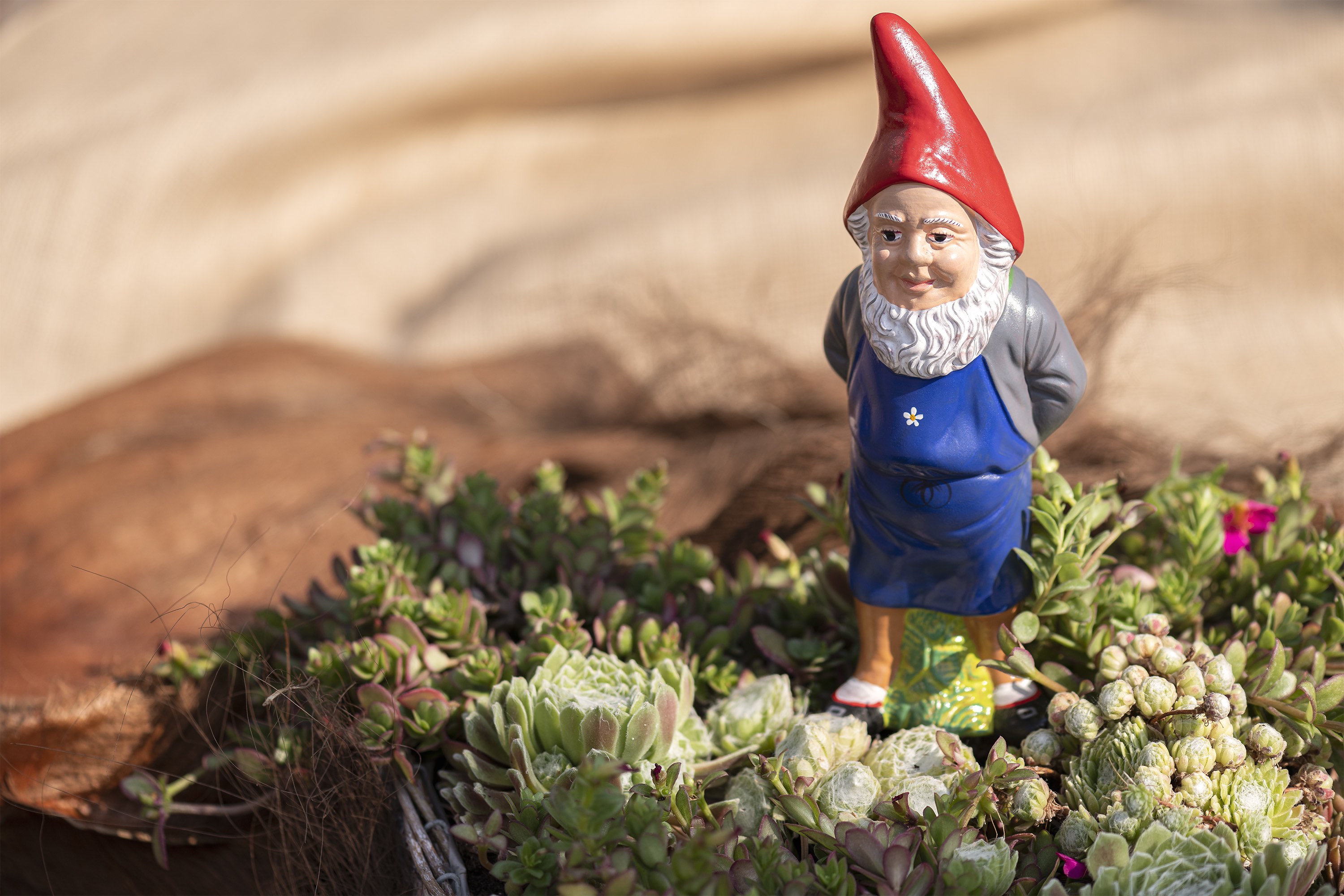 Bruno, der Südtiroler Gartenzwerg